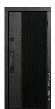 Входная дверь Эшли (вид снаружи) - купить в Петрозаводске