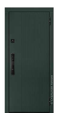 Входная дверь Кэри (вид снаружи) - купить в Петрозаводске