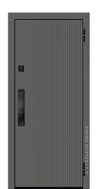 Входная дверь Клеон (вид снаружи) - купить в Петрозаводске