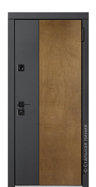 Входная дверь Гарда (вид снаружи) - купить в Петрозаводске